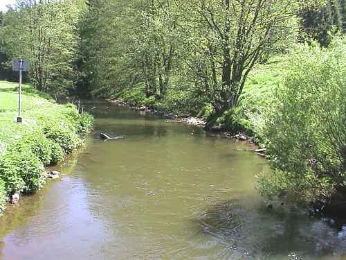 Die Eger - ein Paradies fr Angler